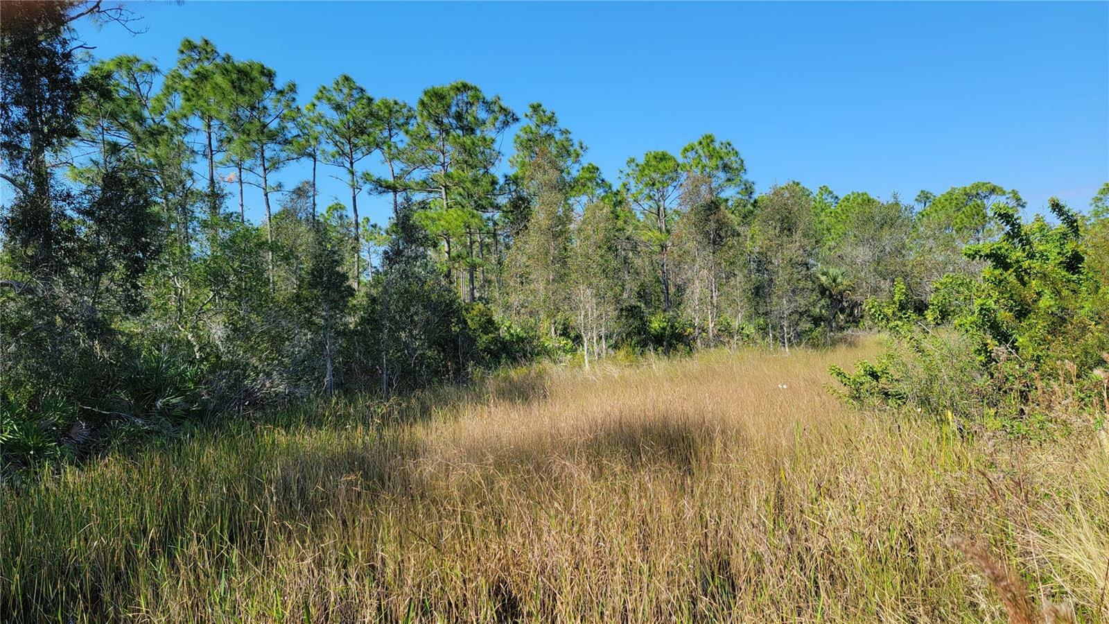 Property Photo:  32464 Oil Well Road  FL 33955 