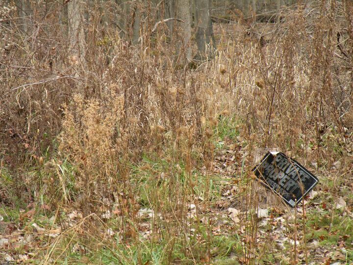 Property Photo:  00 Lindsey Road  MI 48054 