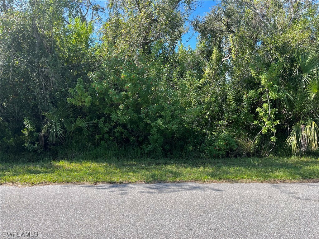 Property Photo:  250 Grenada Street  FL 33948 