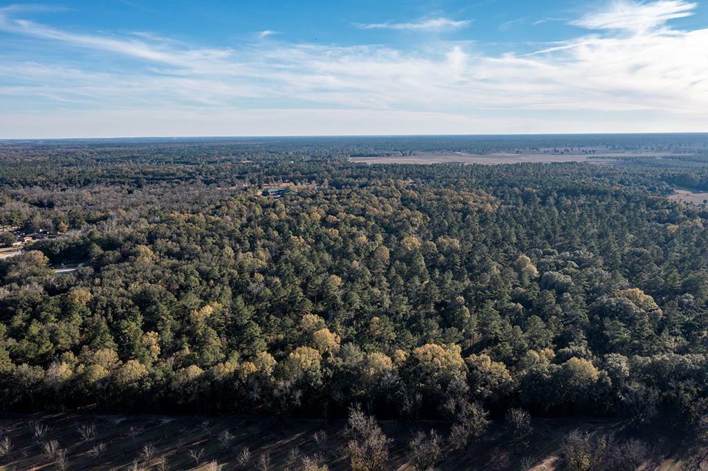 Property Photo:  000 Lily Pond Road  GA 31701 