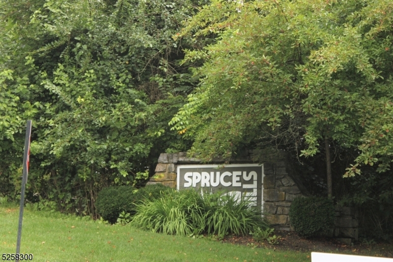 Property Photo:  903 Spruce Hills Dr 903  NJ 08826 