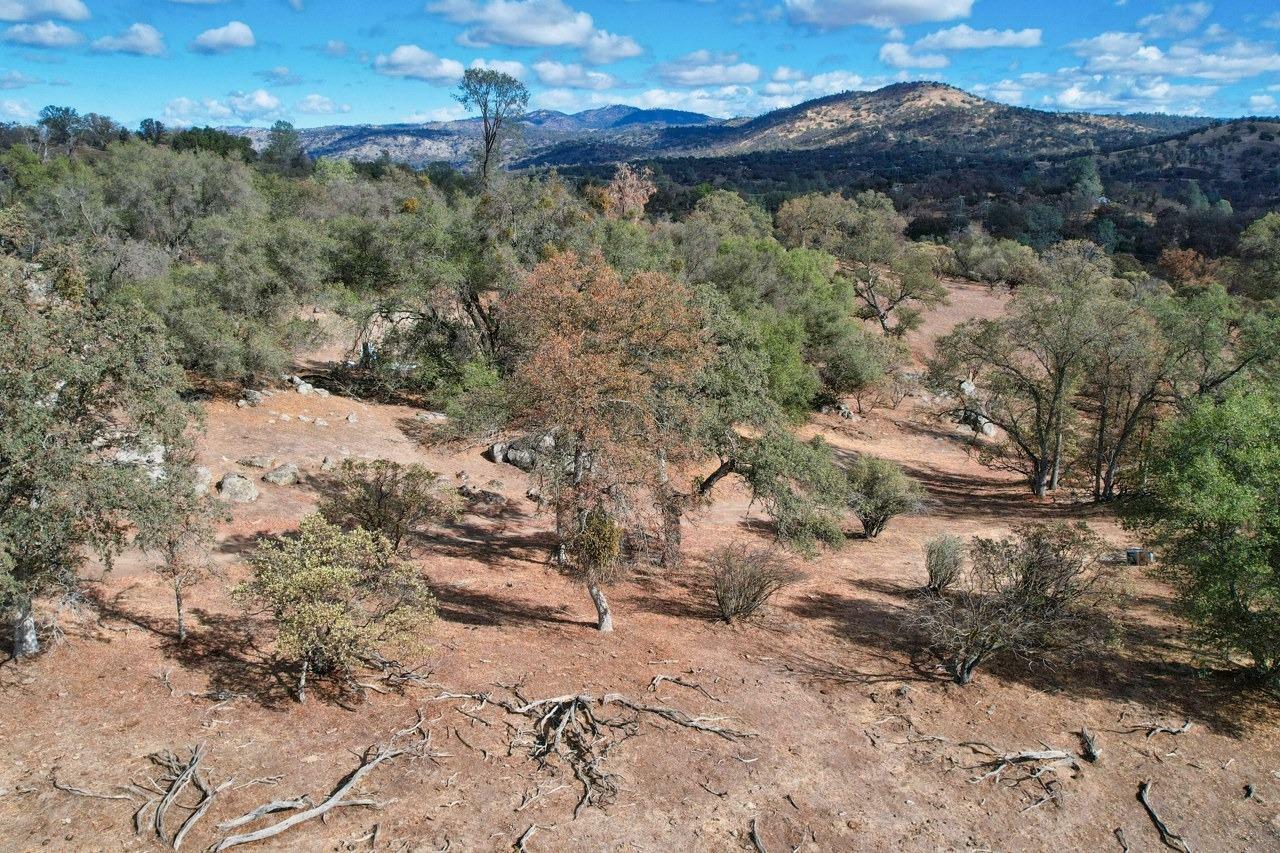 Property Photo:  0 193 Ac River Knolls  CA 93614 