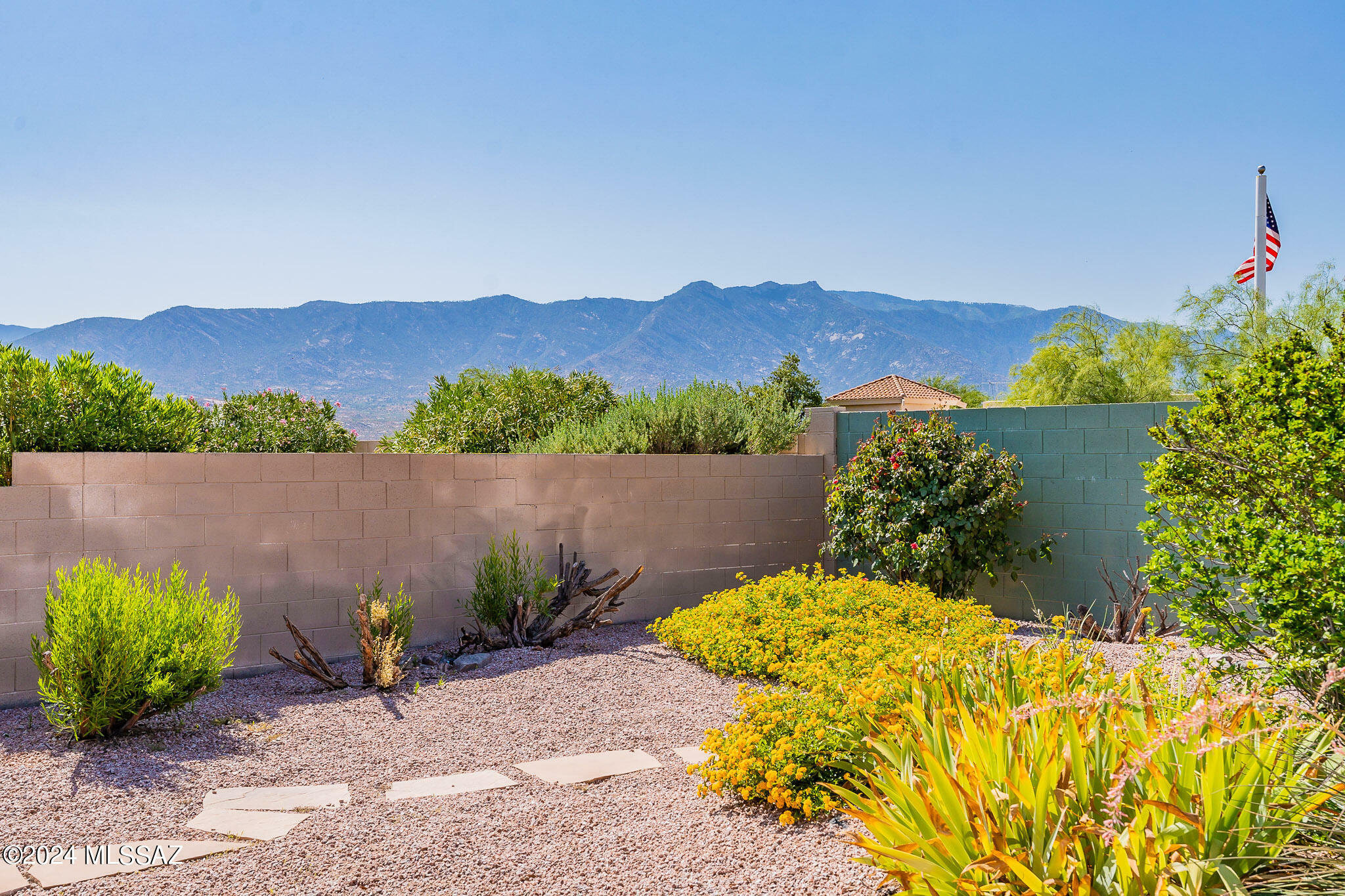 Property Photo:  63671 E Cat Claw Lane  AZ 85739 