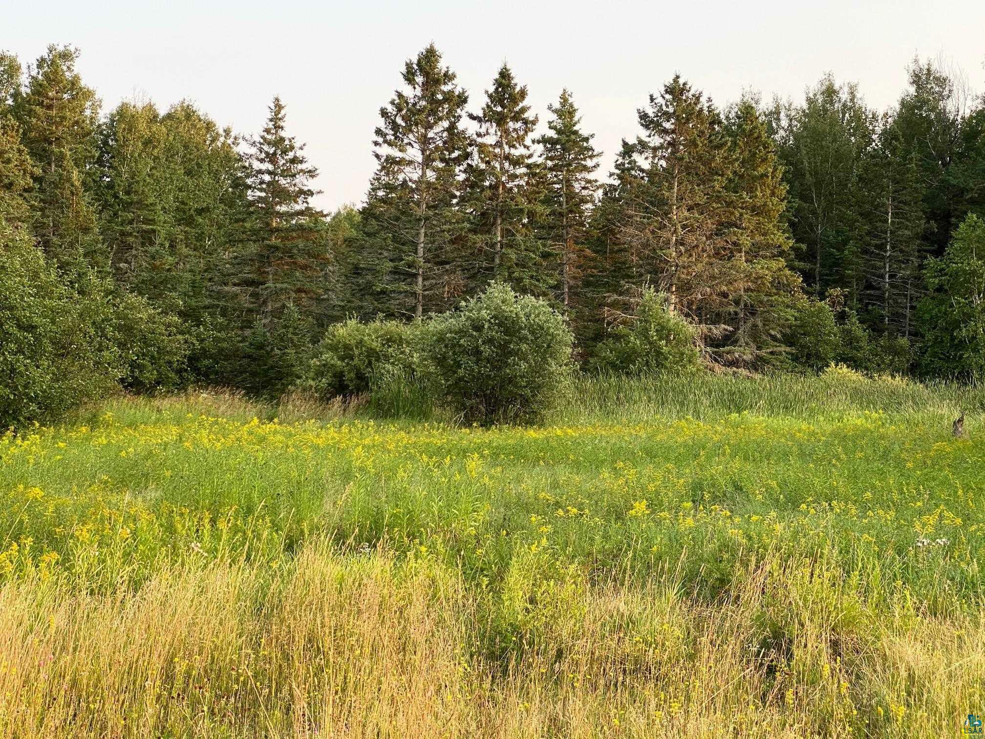 Property Photo:  Xxx Stanley Rd  MN 55616 