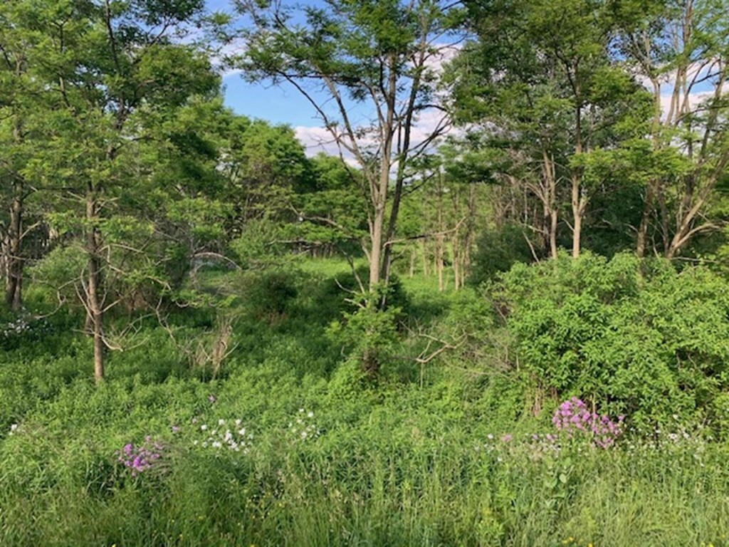 Property Photo:  0 Cecil Keane Road, Lot B  NY 14817 