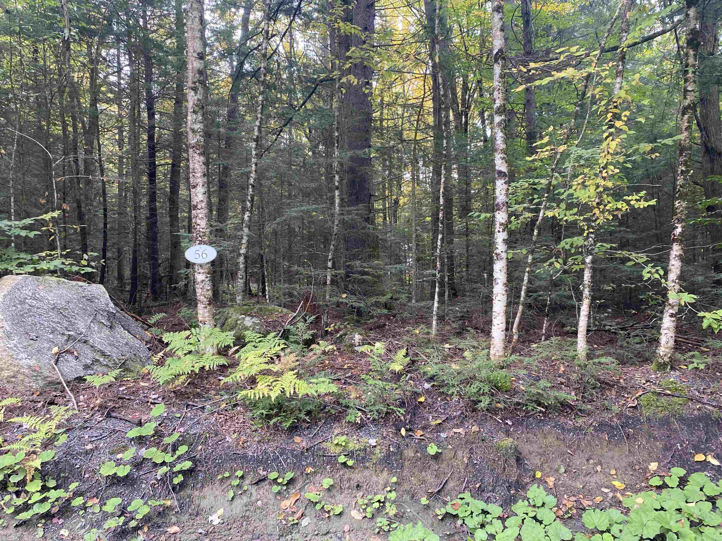 Property Photo:  56 Longwood Drive  NH 03753 