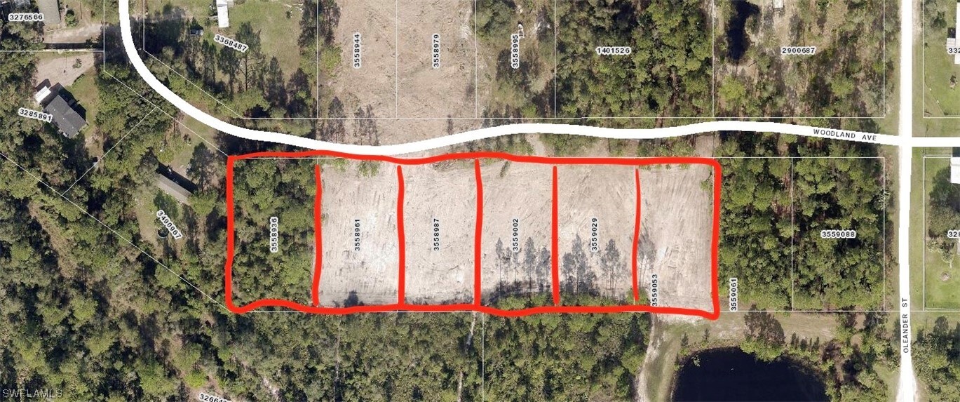 Woodland Avenue  Paisley FL 32767 photo