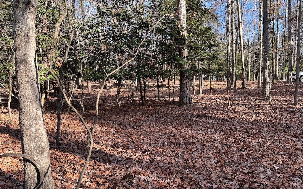 Property Photo:  Tr 4 Timber Falls Trail  GA 30536 