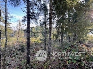 Property Photo:  0 NW Early Bird  WA 98383 