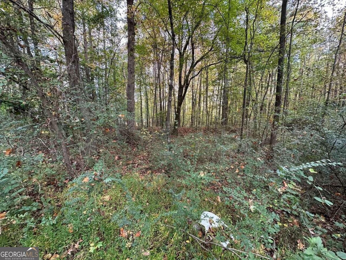 Property Photo:  00 Villa Rica Highway/Highway 61  GA 30157 