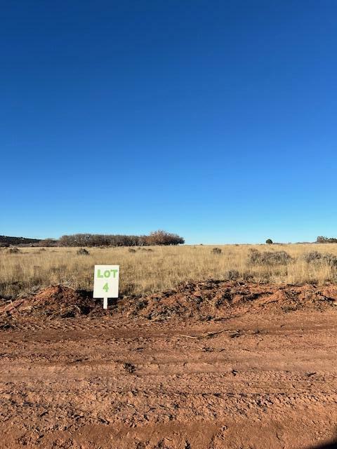 Property Photo:  Oak Valley Estates Lot #4  UT 84742 