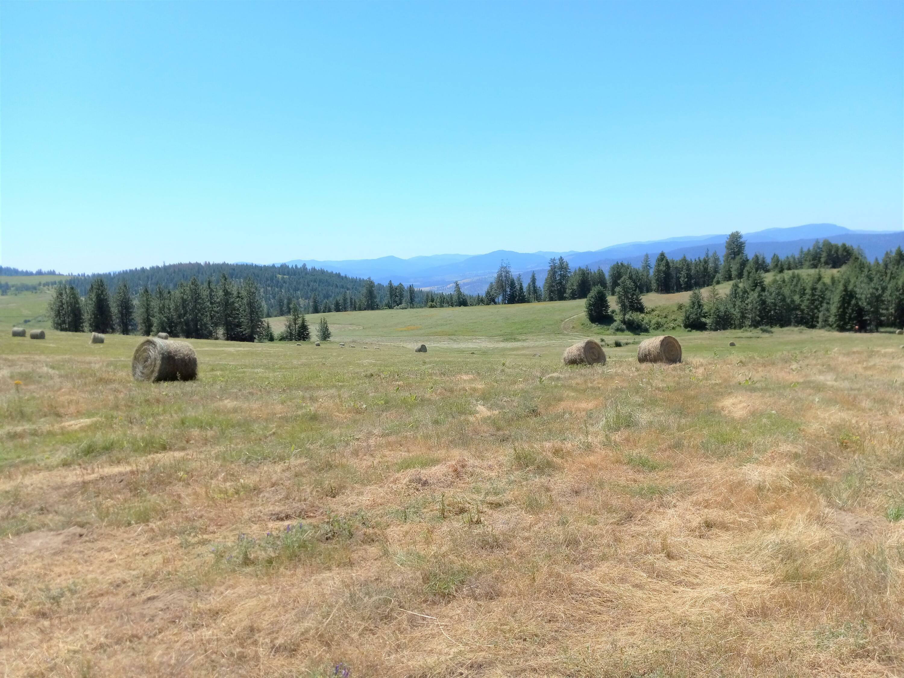 Property Photo:  3509 Daisy Mine Rd  WA 99167 