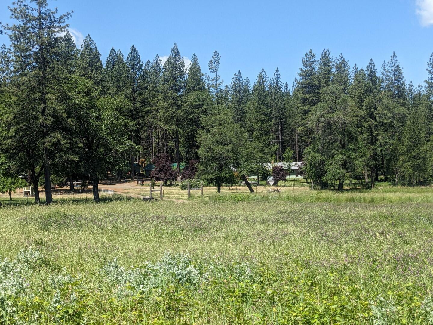 Property Photo:  29276 Bullskin Ridge Road  CA 96069 