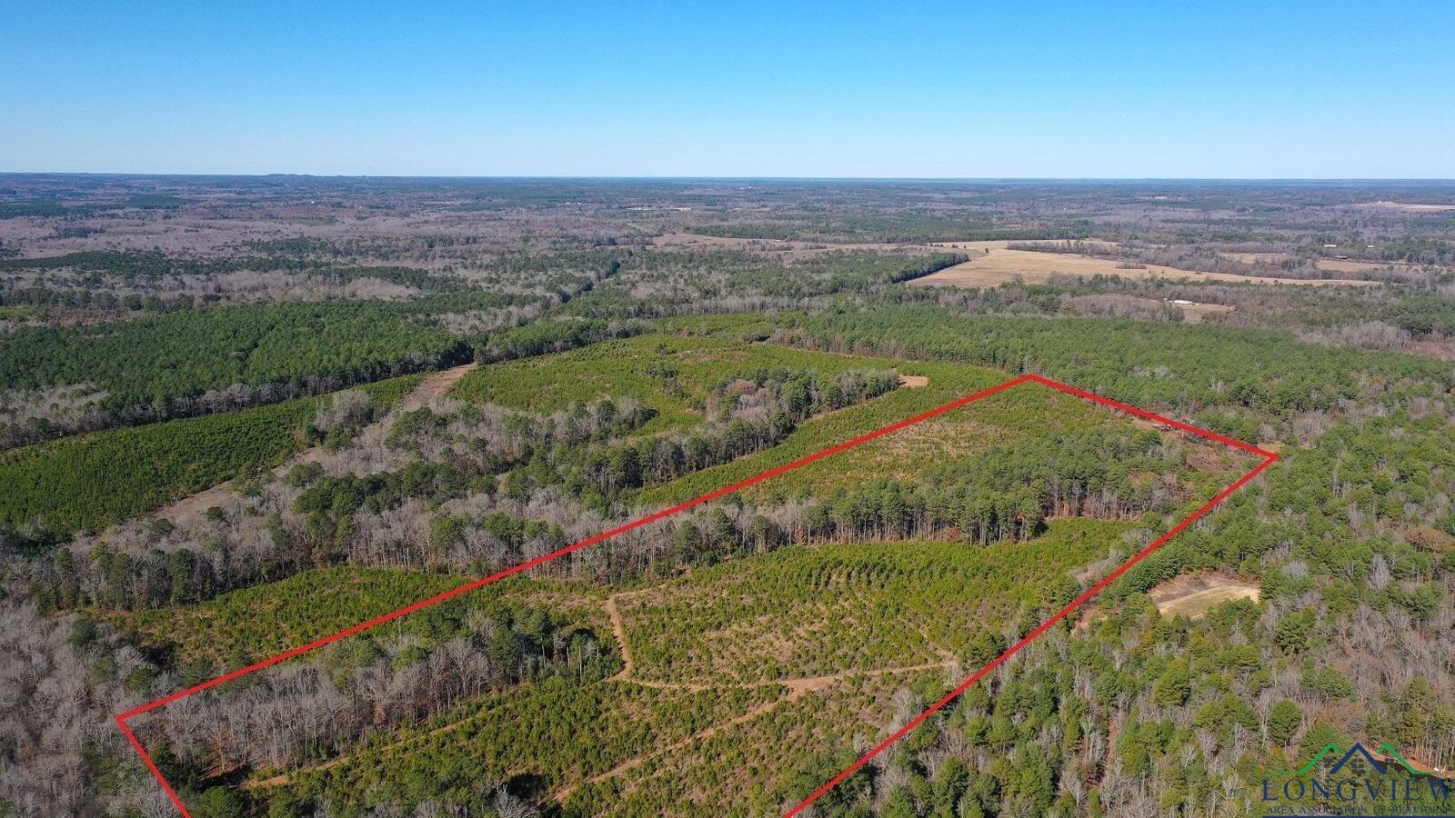 Property Photo:  0001 Cr 1115 Tract 1  TX 75551 