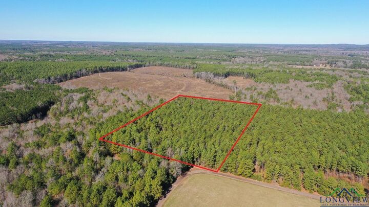 0004 Cr 1459 Tract 4  Linden TX 75563 photo