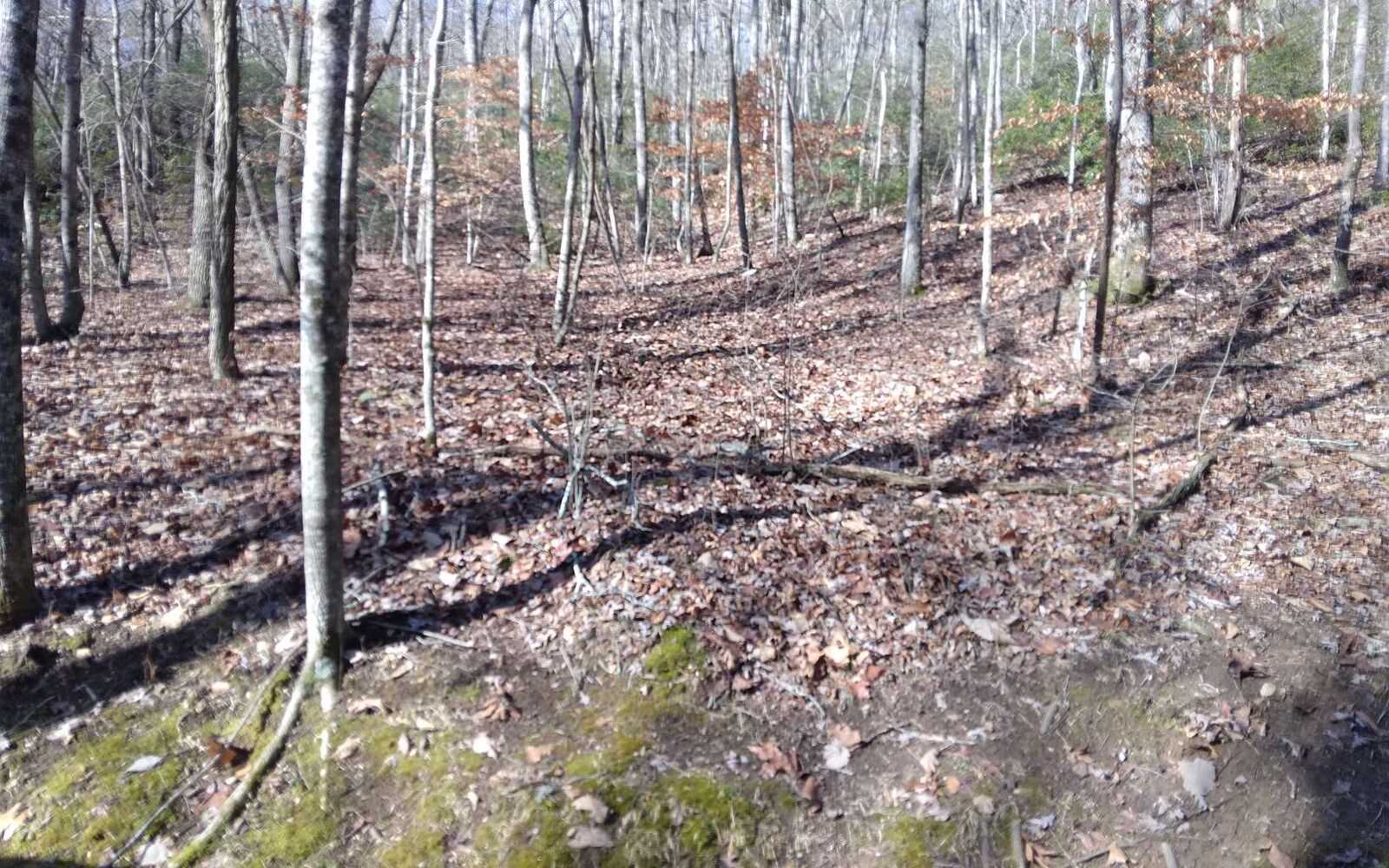 Property Photo:  0 Cherokee Circle  GA 30540 