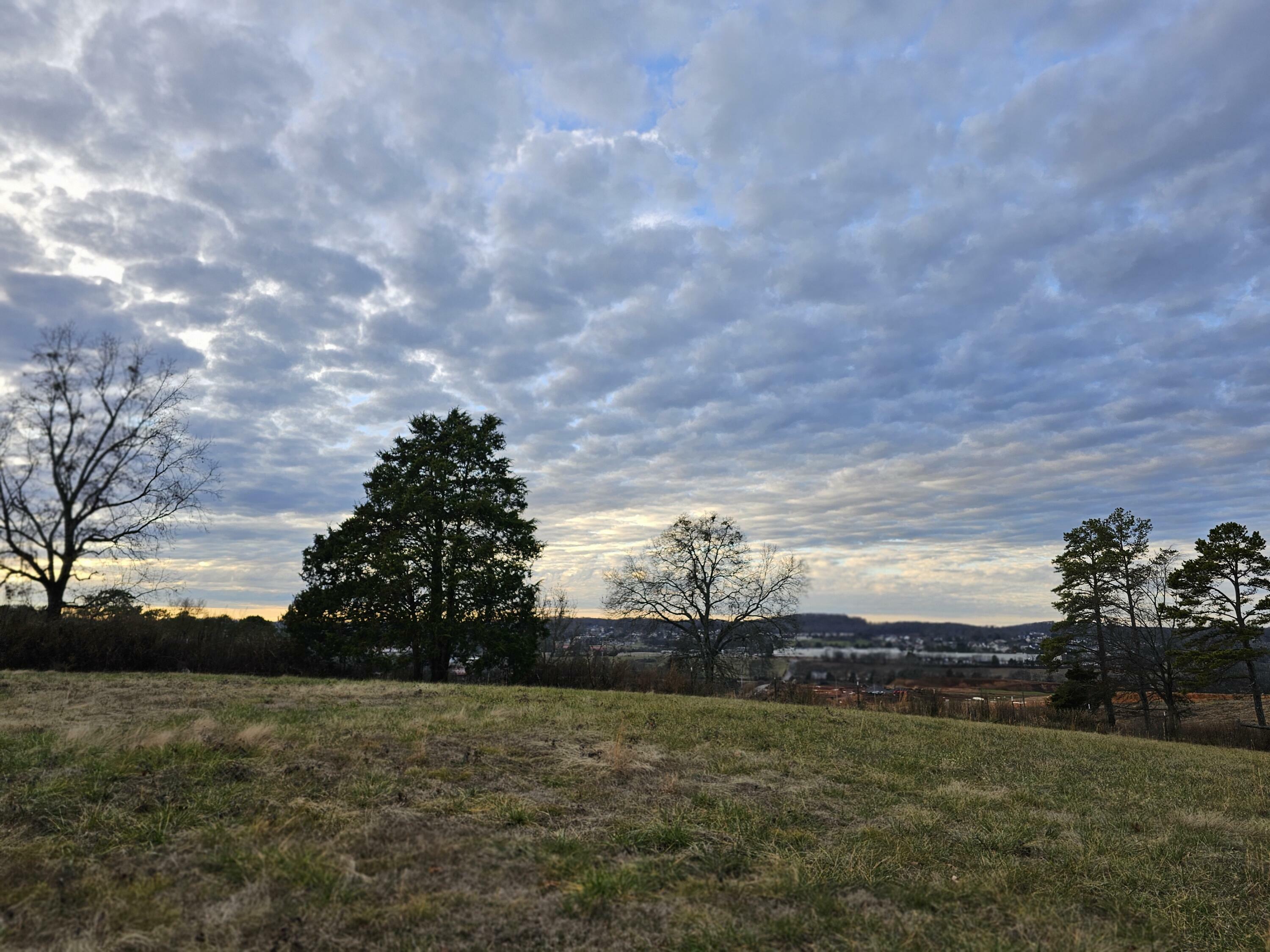 Property Photo:  Lot 1 Wilkinson Road Road NE  TN 37323 