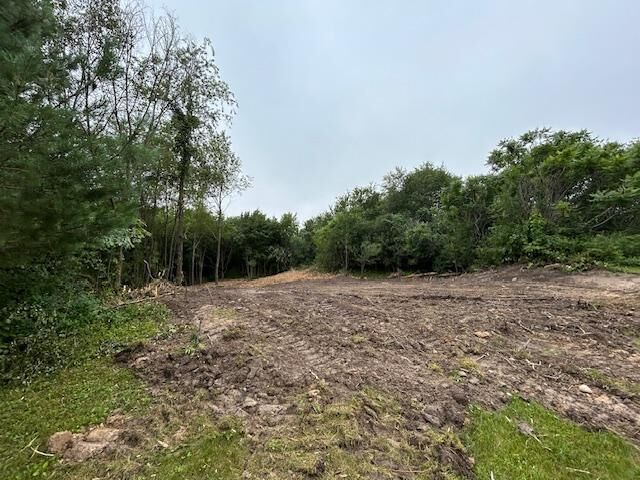 Property Photo:  Lot 10 776th Avenue  WI 54767 