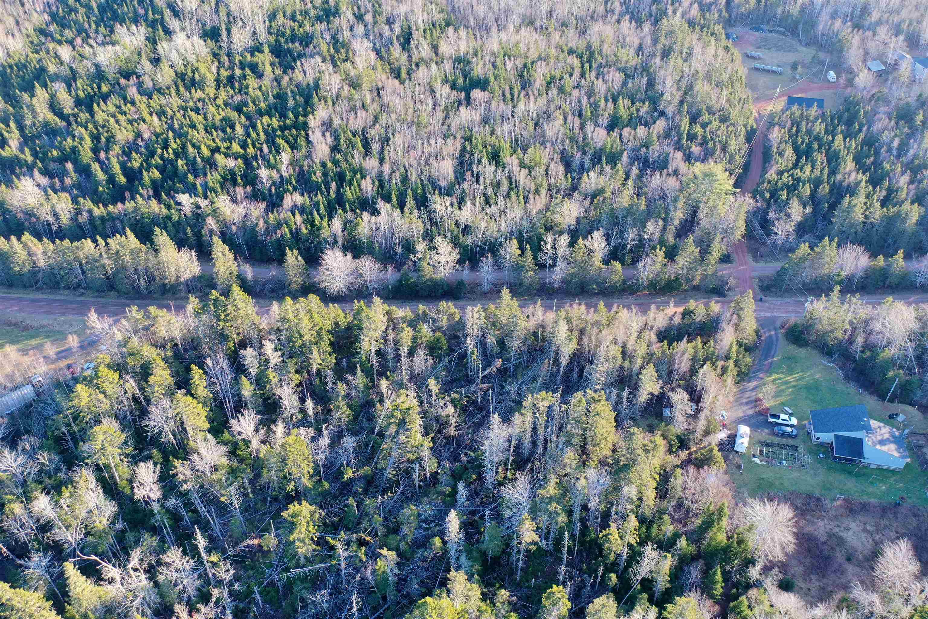 Photo de la propriété:  Acreage Straghbohgie Road  PE C0A 1G0 