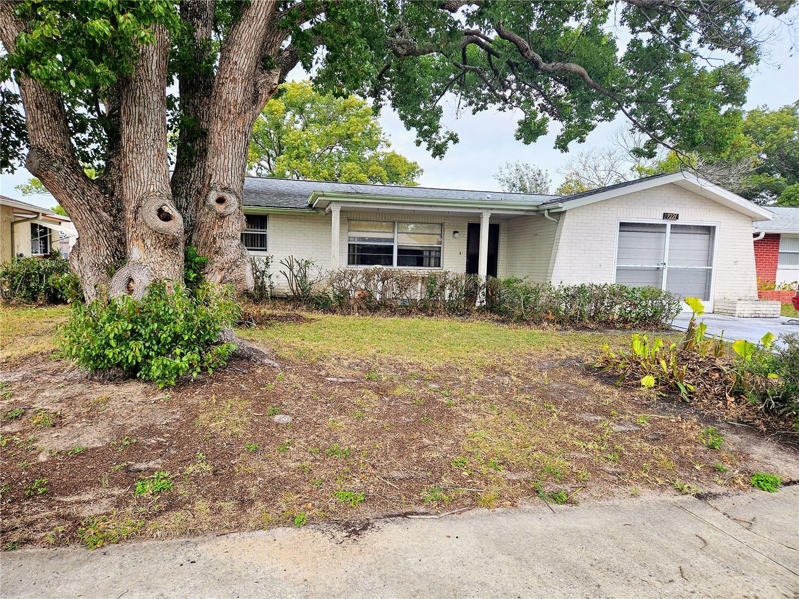 7221 Fairfax Drive  Port Richey FL 34668 photo