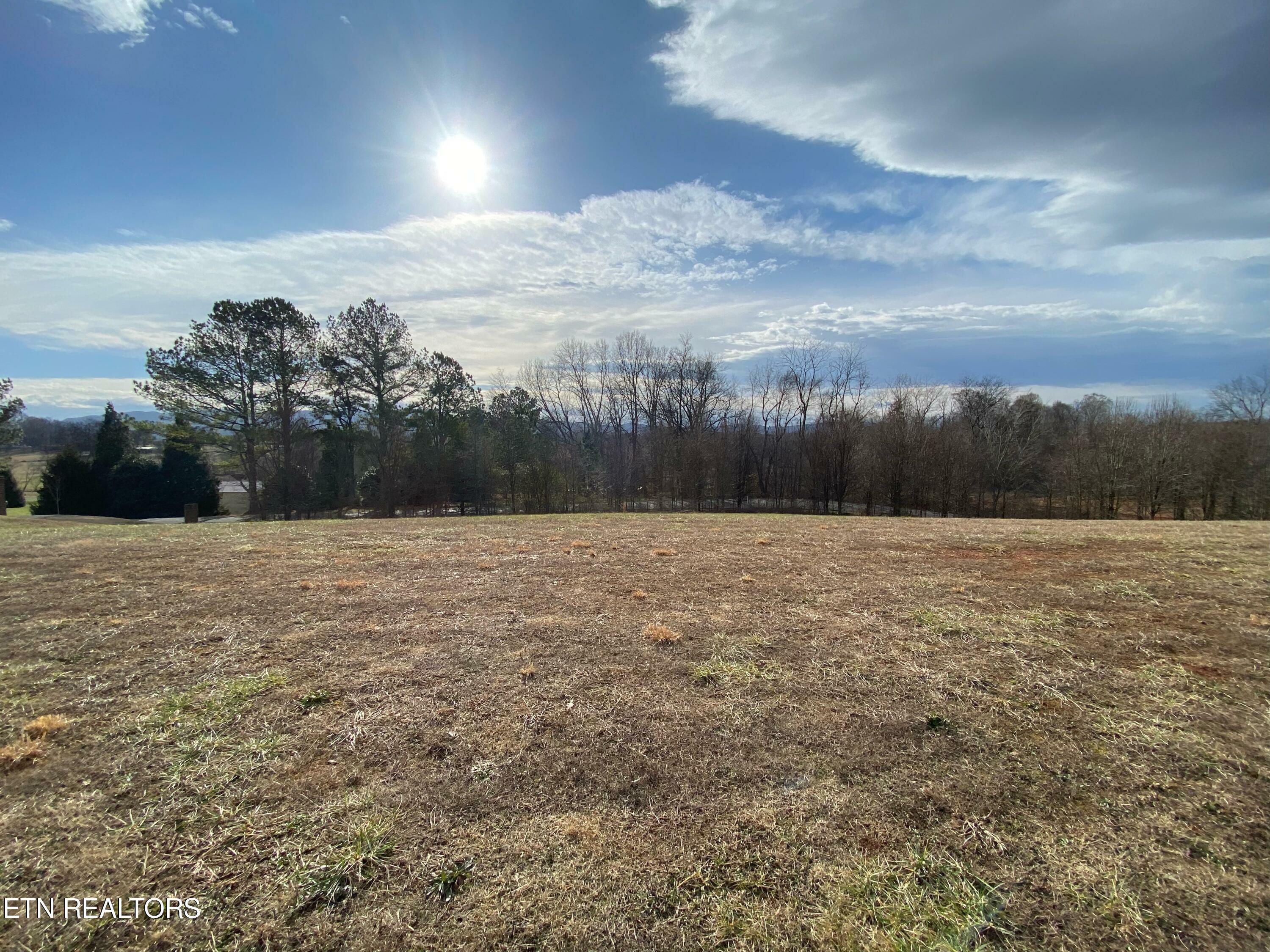 Property Photo:  3347 Old Plantation Way Way  TN 37804 