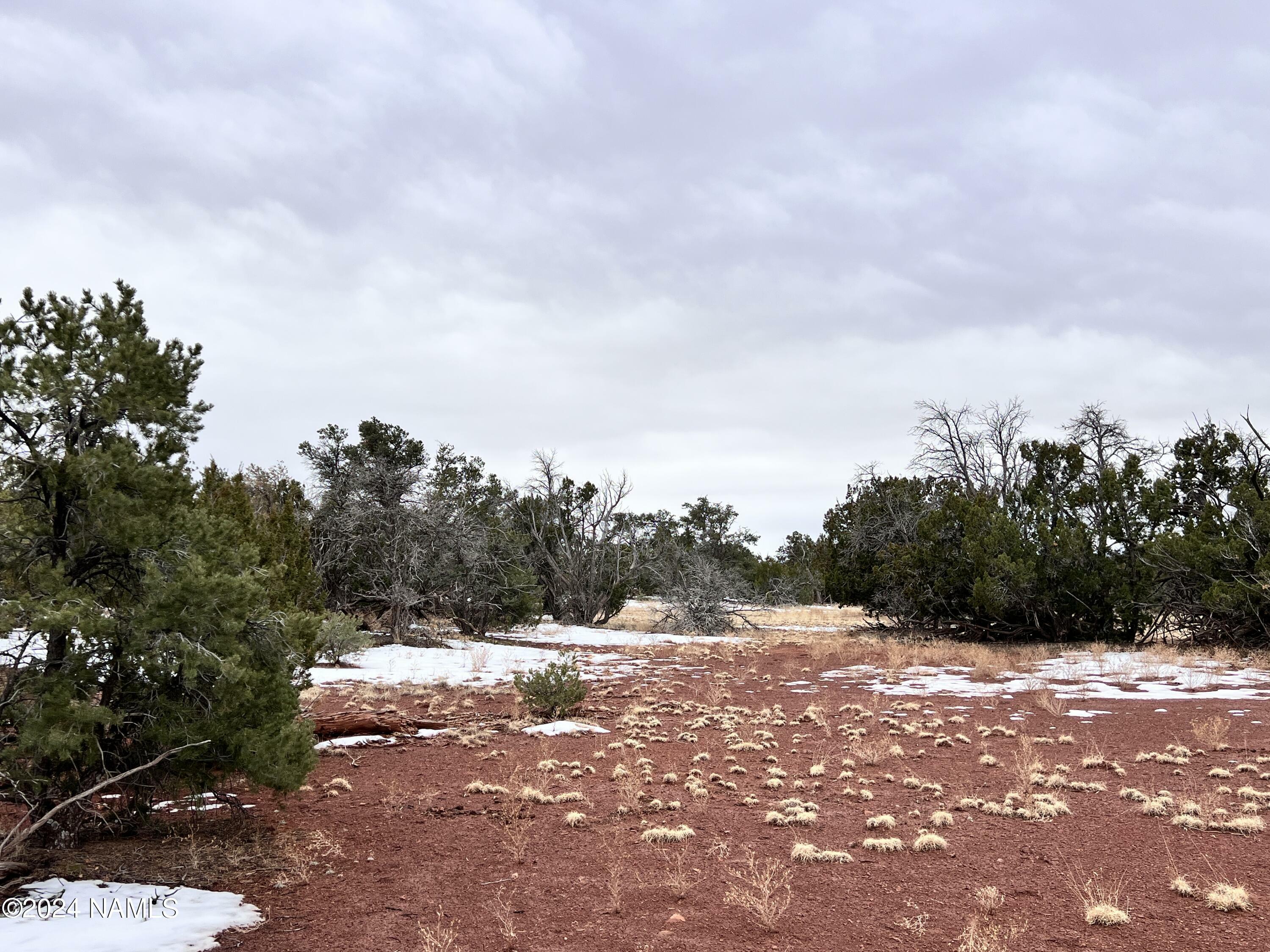 Property Photo:  8027 Water Tank - Lot C Circle  AZ 86046 