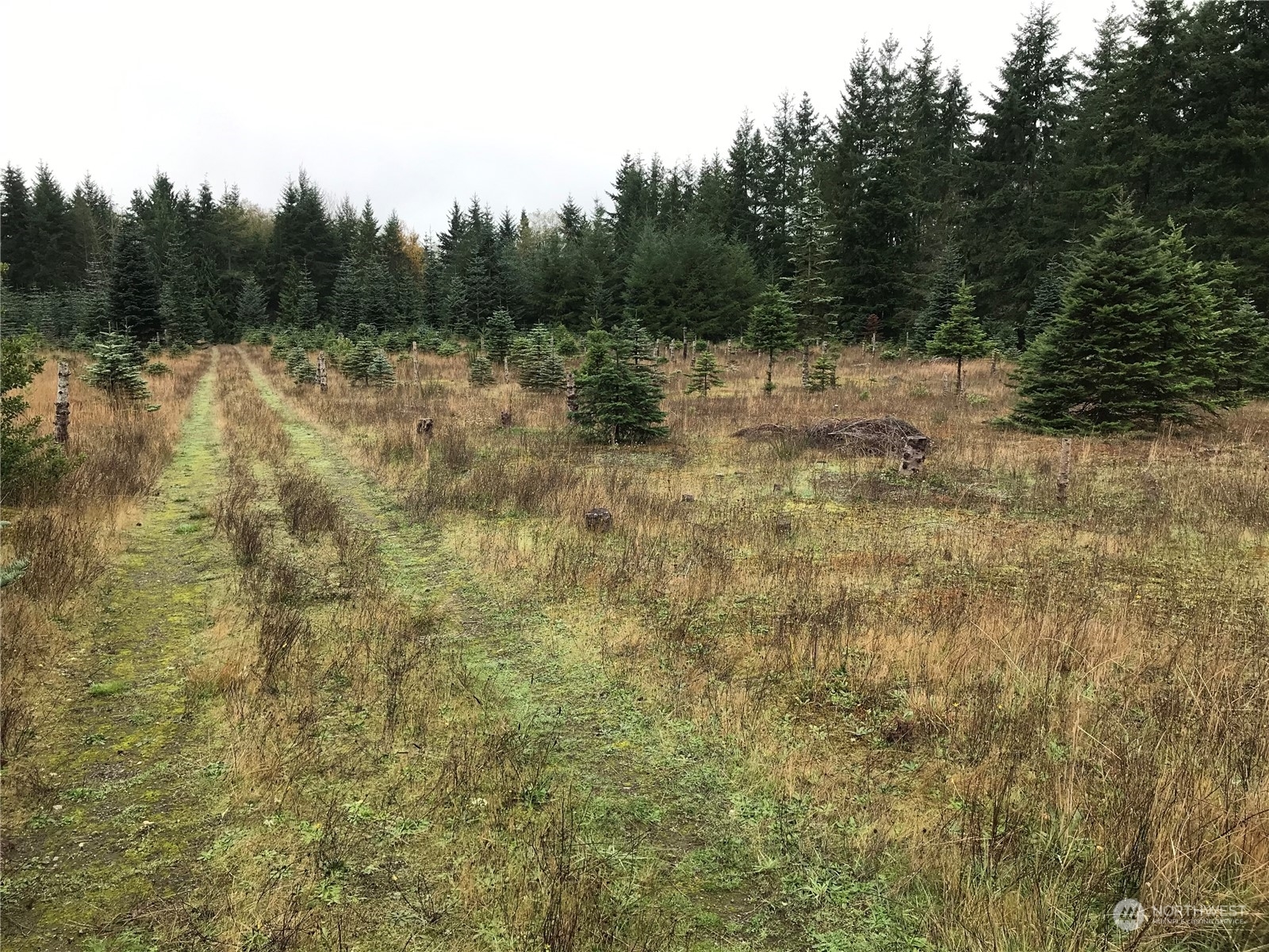 Property Photo:  0 NE Sawdust Hill Road  WA 98370 