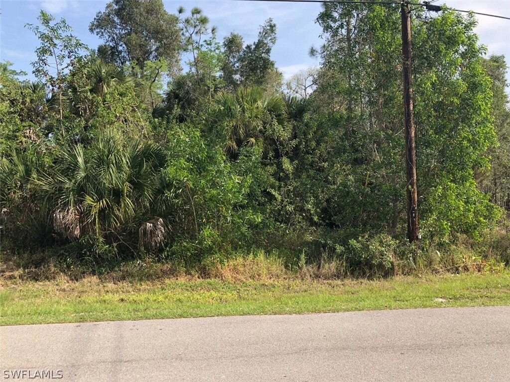 Property Photo:  241 33rd Avenue NE  FL 34120 