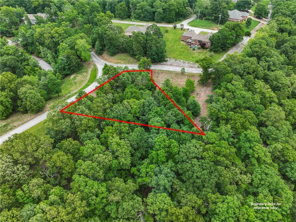 Property Photo:  Mountain Lake Court  AR 72756 