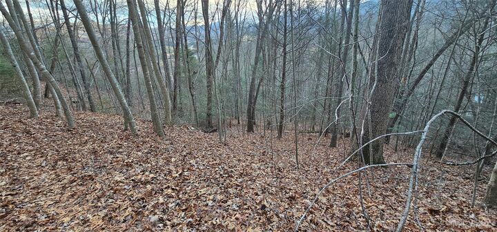 Property Photo:  Lot 10 Seay Mountain Road  NC 28785 