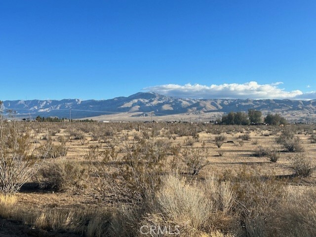 Property Photo:  0 Milpas 8.83 Ac Road  CA 92308 