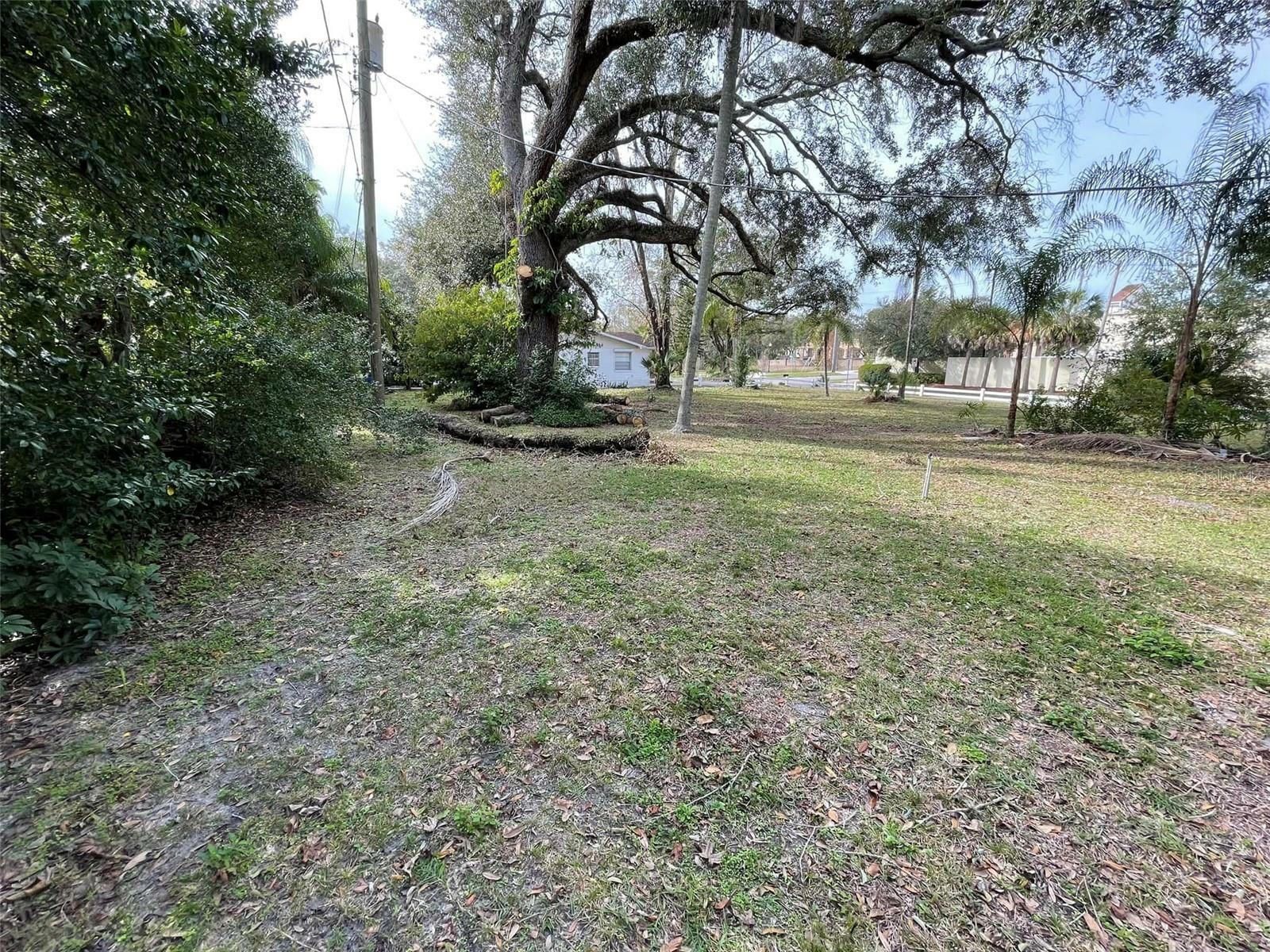 Property Photo:  304 Springdale Place  FL 33617 