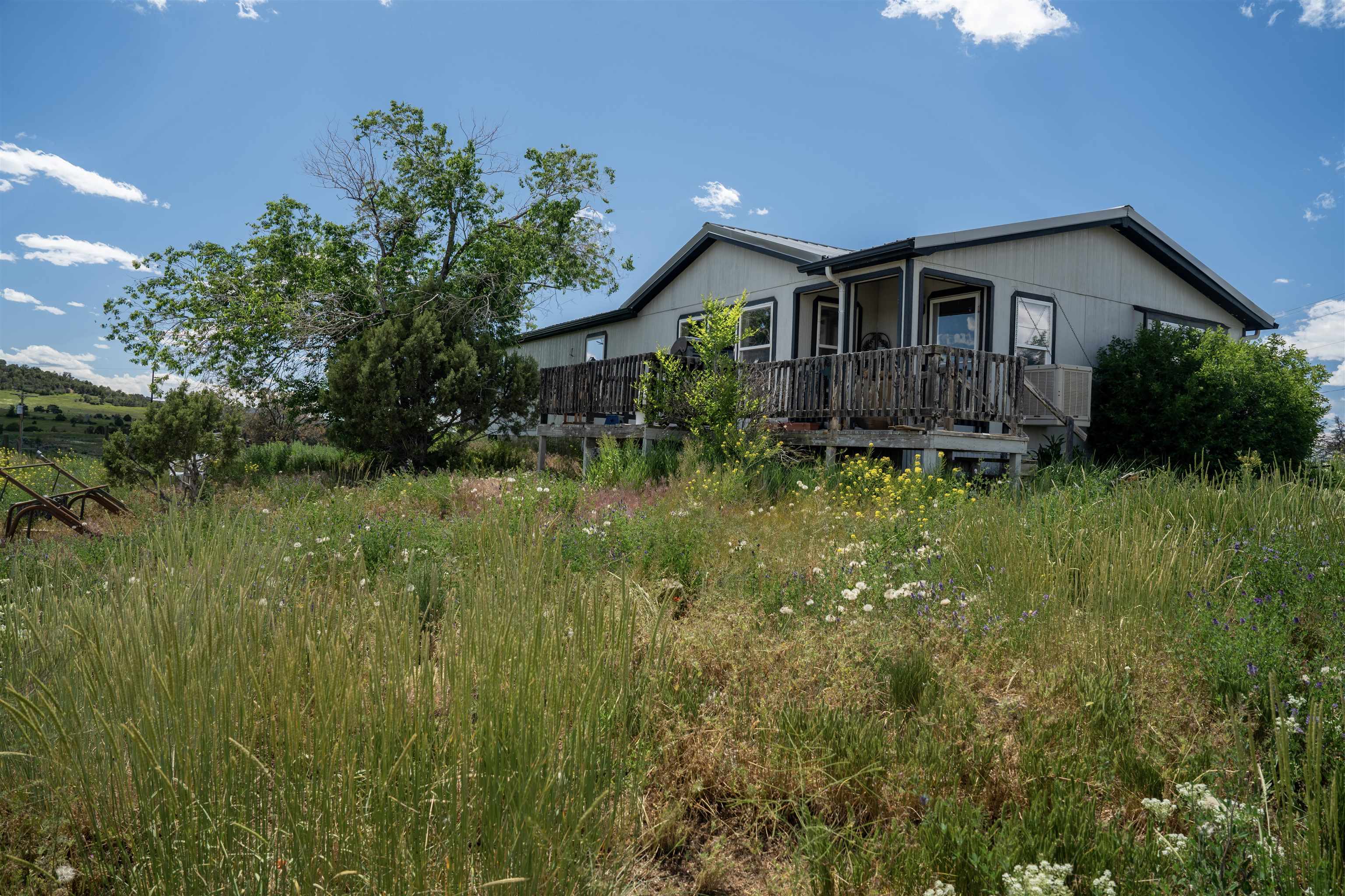 Property Photo:  268 Aa 42 Road  CO 81423 