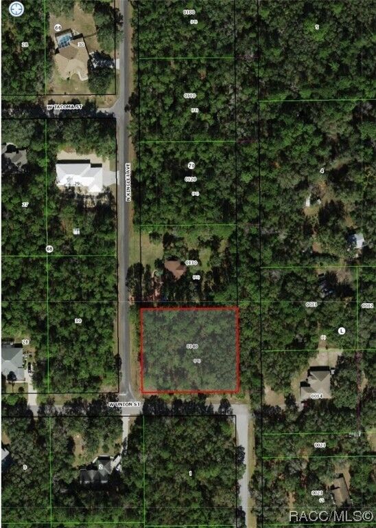 Property Photo:  159 N Kinglet Avenue  FL 34442 