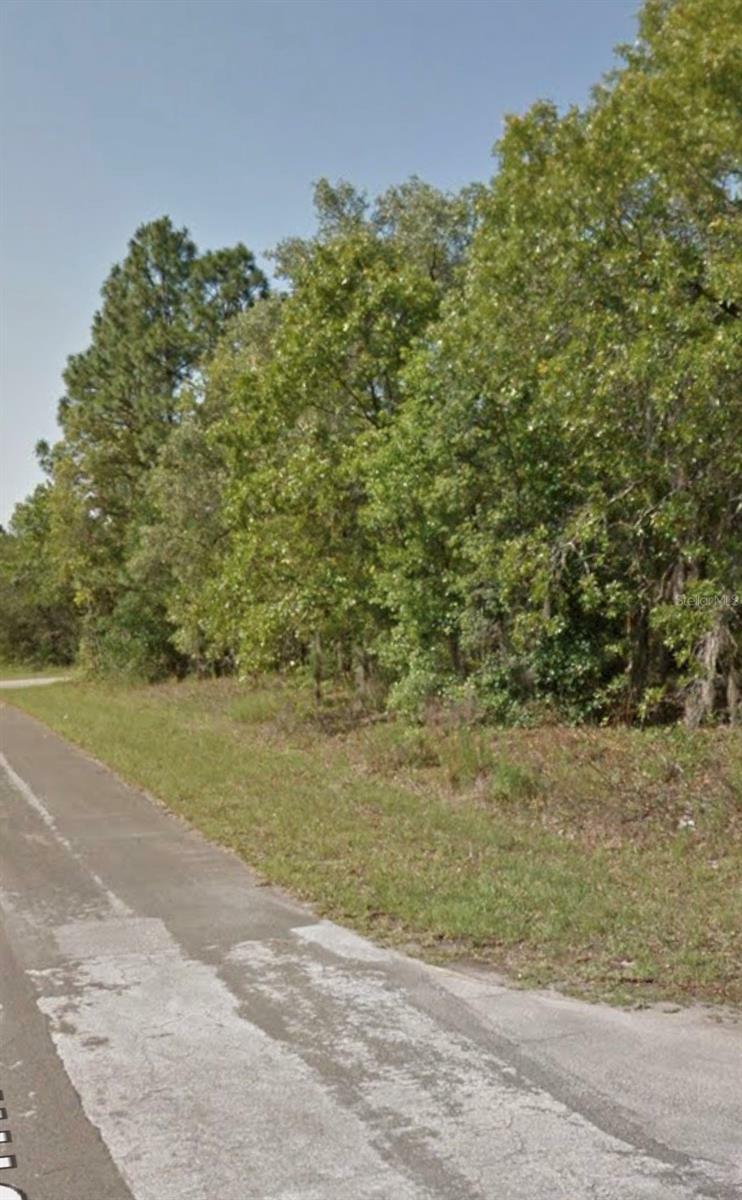 Property Photo:  9042 N Commodore Drive  FL 34434 