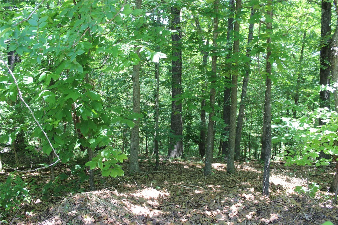 Property Photo:  Lot 2 Kintyre Drive  AR 72715 