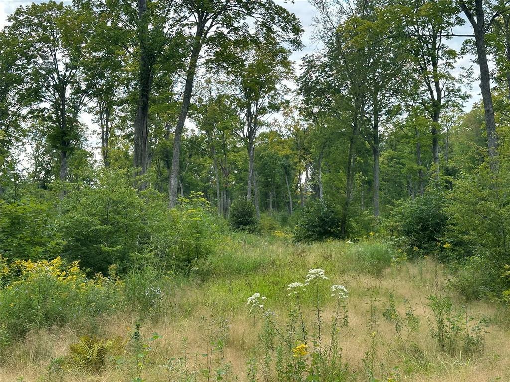 Property Photo:  559.02 Acres Hwy T  WI 54830 