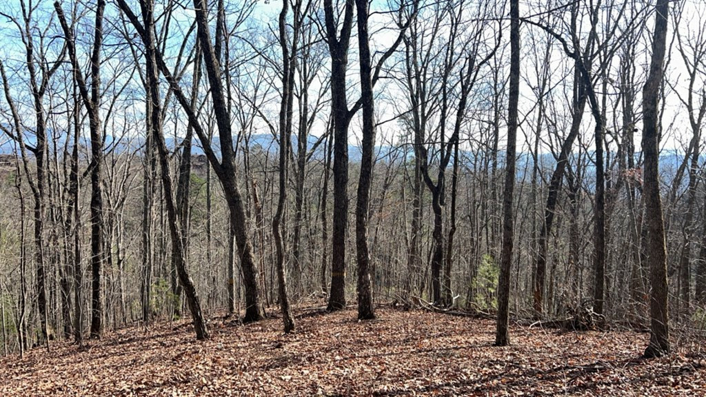 Property Photo:  Summit Trails Drive  TN 37862 