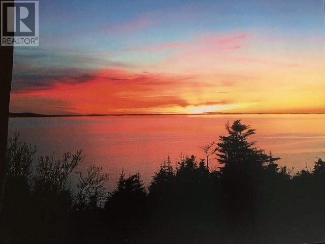 Property Photo: 121 Hynes Road NL A0N 1T0