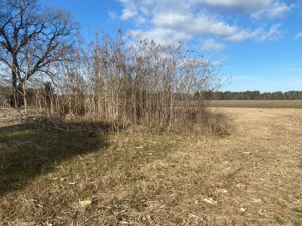 Property Photo:  Lot B Greenbush Rd  VA 23357 