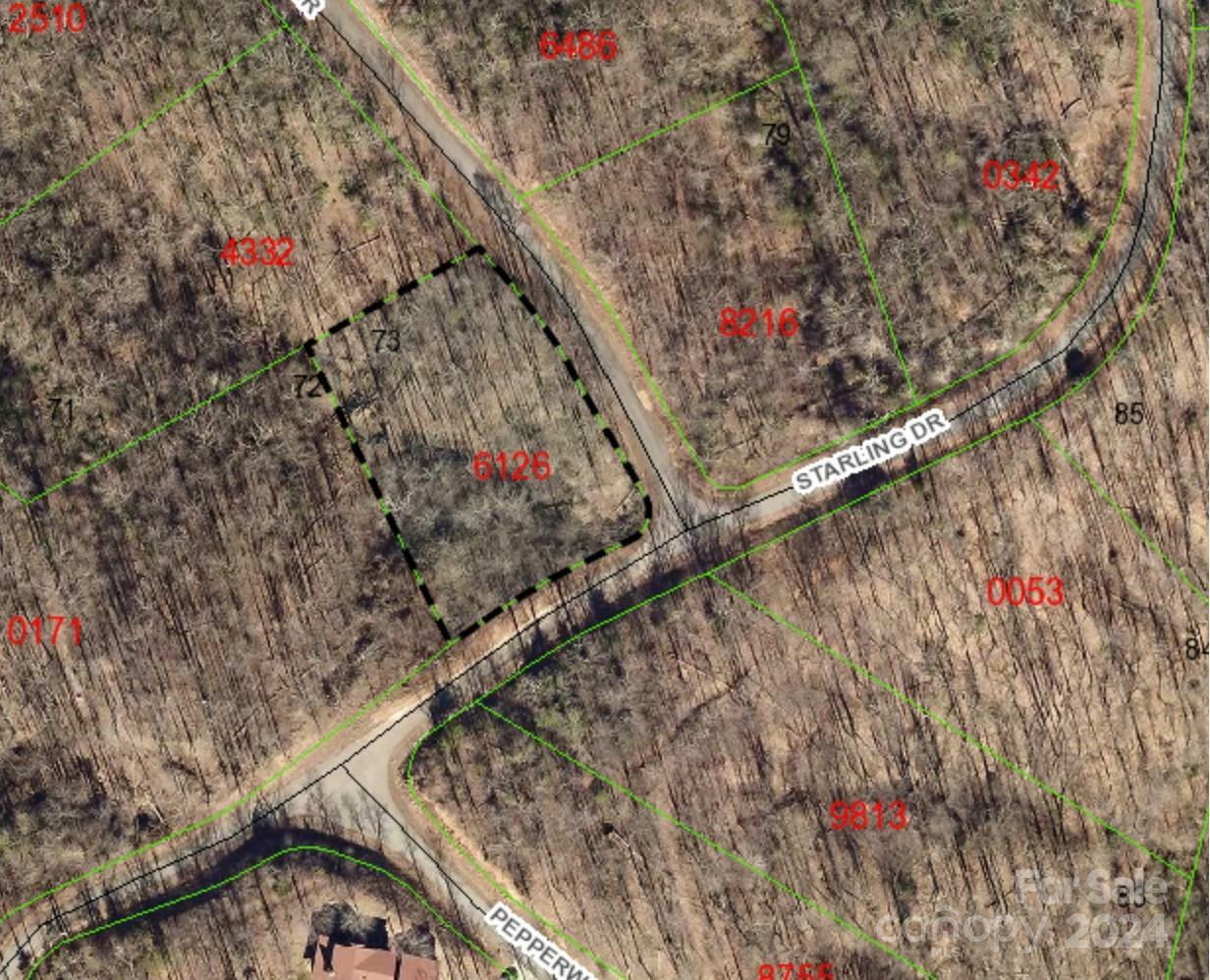 Lot #73 Black Lark Drive  Marion NC 28752 photo