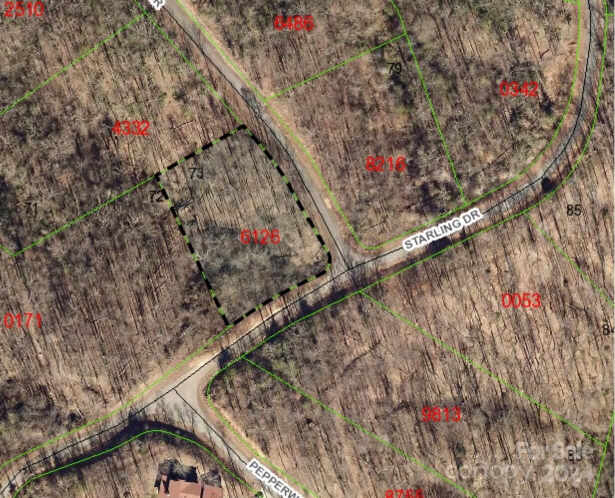 Property Photo:  Lot #73 Black Lark Drive  NC 28752 