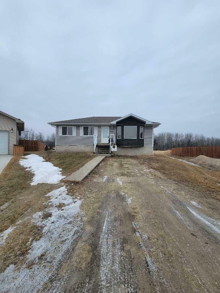 Property Photo:  5213 52 A Avenue  AB T0H 3N0 