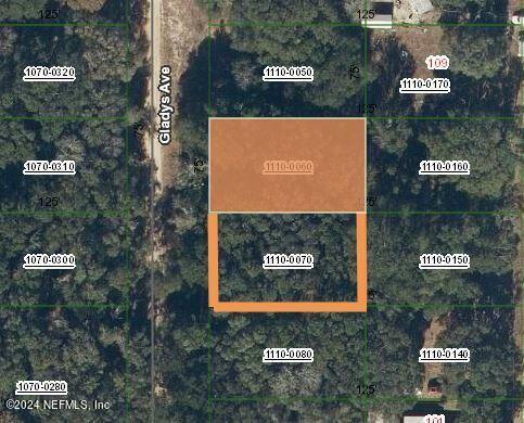 Property Photo: Lots 6 &Amp 7 Gladys Avenue FL 32148