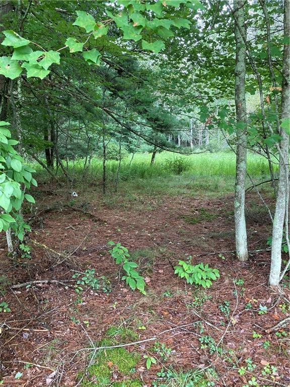 Property Photo:  Old White Lake Turnpike  NY 12720 