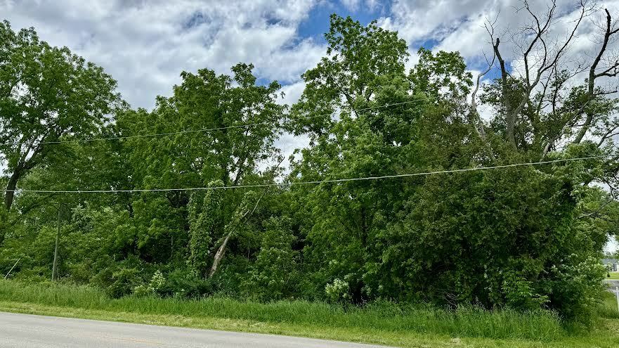 Property Photo:  Lot 1 Taft Street  IL 60071 