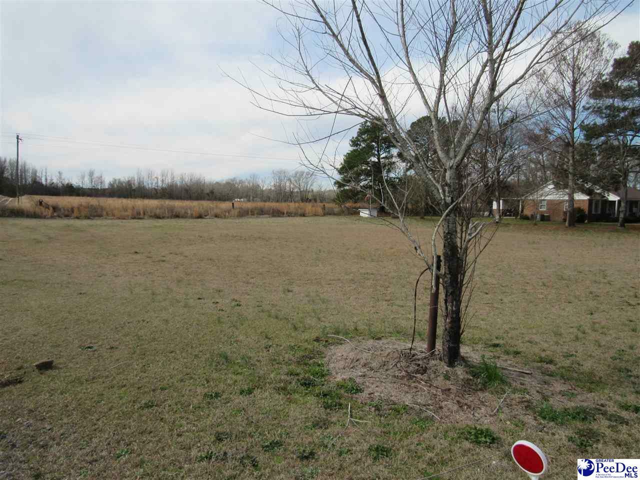 Property Photo:  Tbd E Lynches River Road  SC 29069 