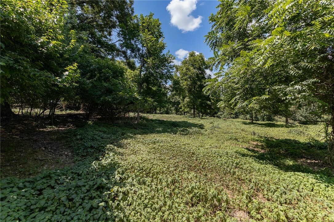 Property Photo:  Tbd Gun Club Road  AR 72704 