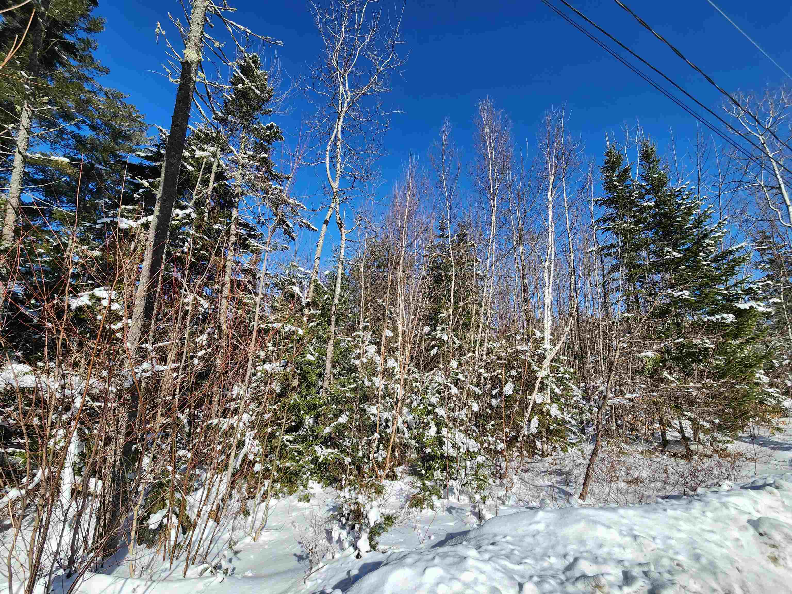 Property Photo:  Lot 201 James Street  NH 03574 