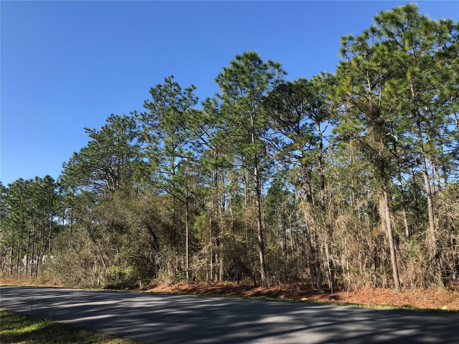 Property Photo:  1554 Cr 243B  Lot #95  FL 34785 